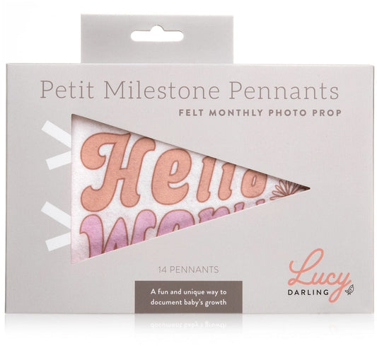 Lucy Darling Petit Milestone Pennant - Flower Child - PP005M12