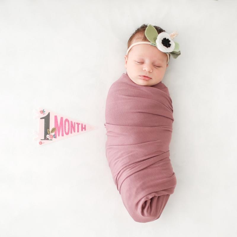 Lucy Darling Petit Milestone Pennant - Little Artist - PP002M12
