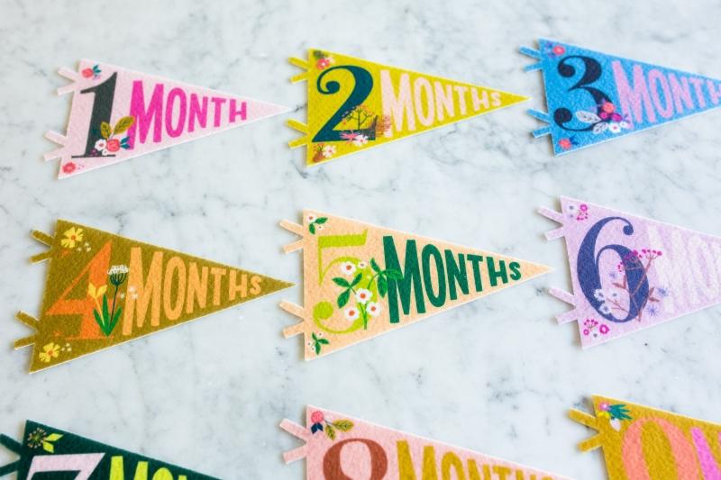 Lucy Darling Petit Milestone Pennant - Little Artist - PP002M12