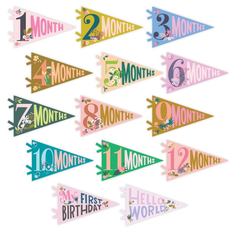Lucy Darling Petit Milestone Pennant - Little Artist - PP002M12