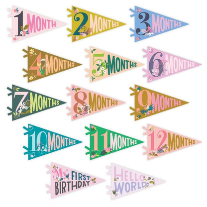 Lucy Darling Petit Milestone Pennant - Little Artist - PP002M12