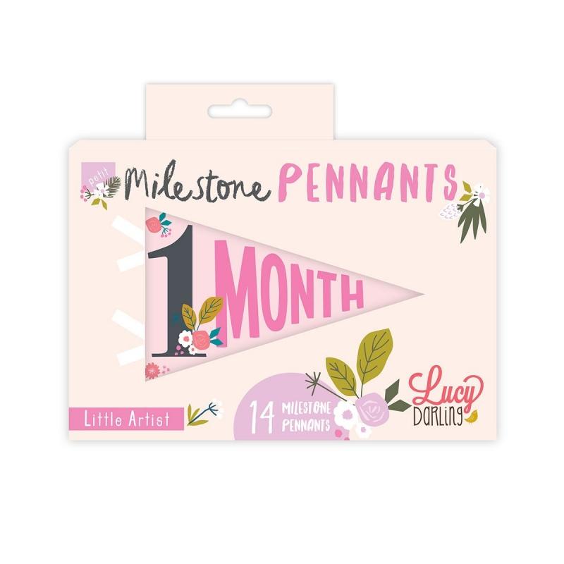 Lucy Darling Petit Milestone Pennant - Little Artist - PP002M12