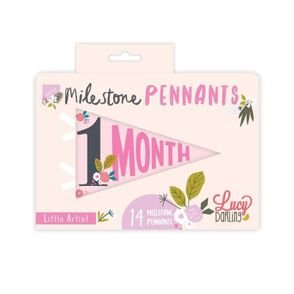 Lucy Darling Petit Milestone Pennant - Little Artist - PP002M12