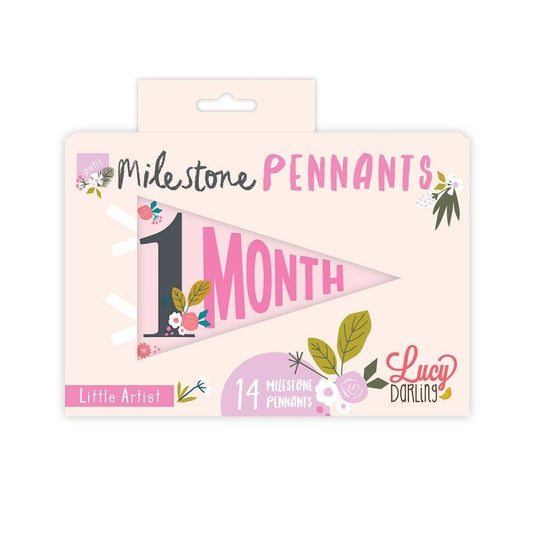 Lucy Darling Petit Milestone Pennant - Little Artist - PP002M12