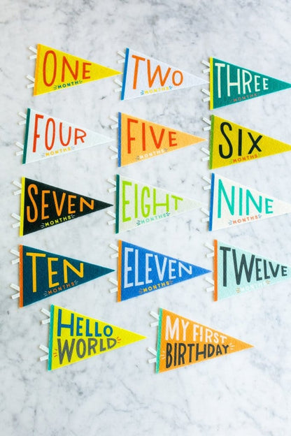 Lucy Darling Petit Milestone Pennant - Little Kaleidoscope - PP003M12