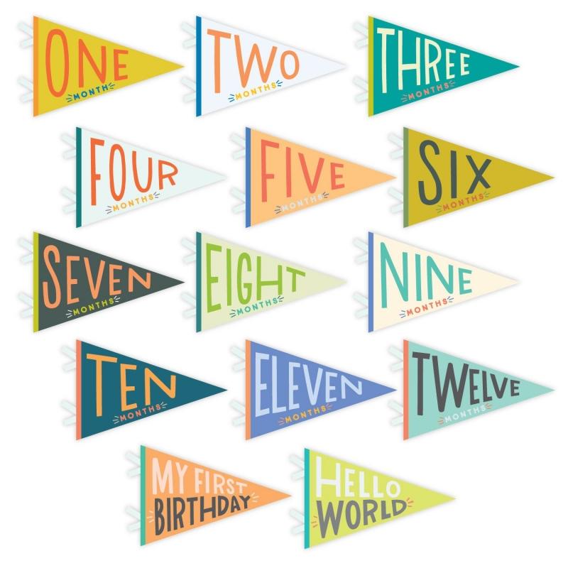 Lucy Darling Petit Milestone Pennant - Little Kaleidoscope - PP003M12