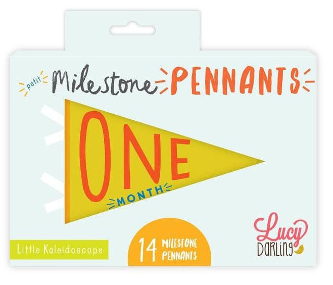 Lucy Darling Petit Milestone Pennant - Little Kaleidoscope - PP003M12