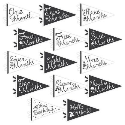 Lucy Darling Petit Milestone Pennant - Little Stargazer - PP004M12