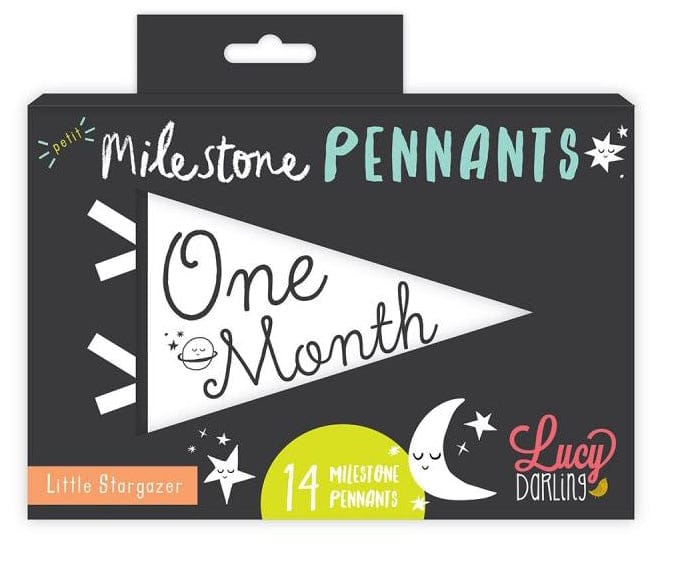 Lucy Darling Petit Milestone Pennant - Little Stargazer - PP004M12