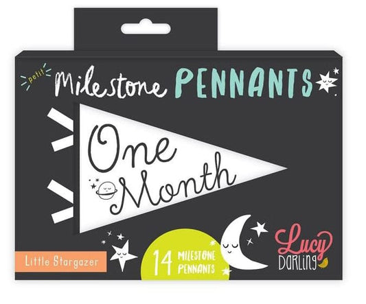 Lucy Darling Petit Milestone Pennant - Little Stargazer - PP004M12