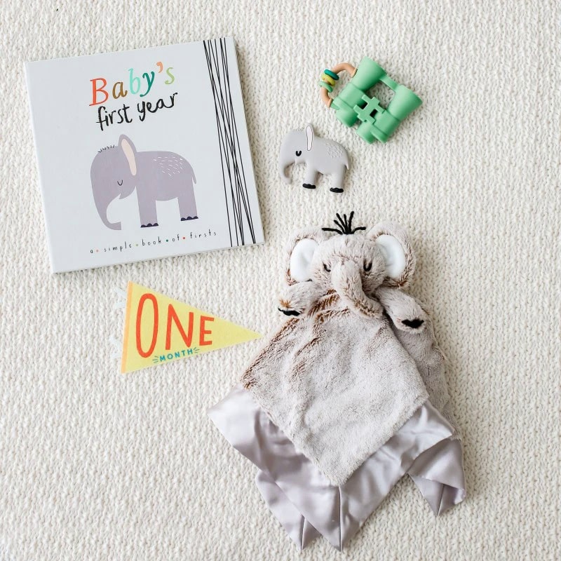 Lucy Darling Teether Toy Set - Animal Lover - TH002TEE