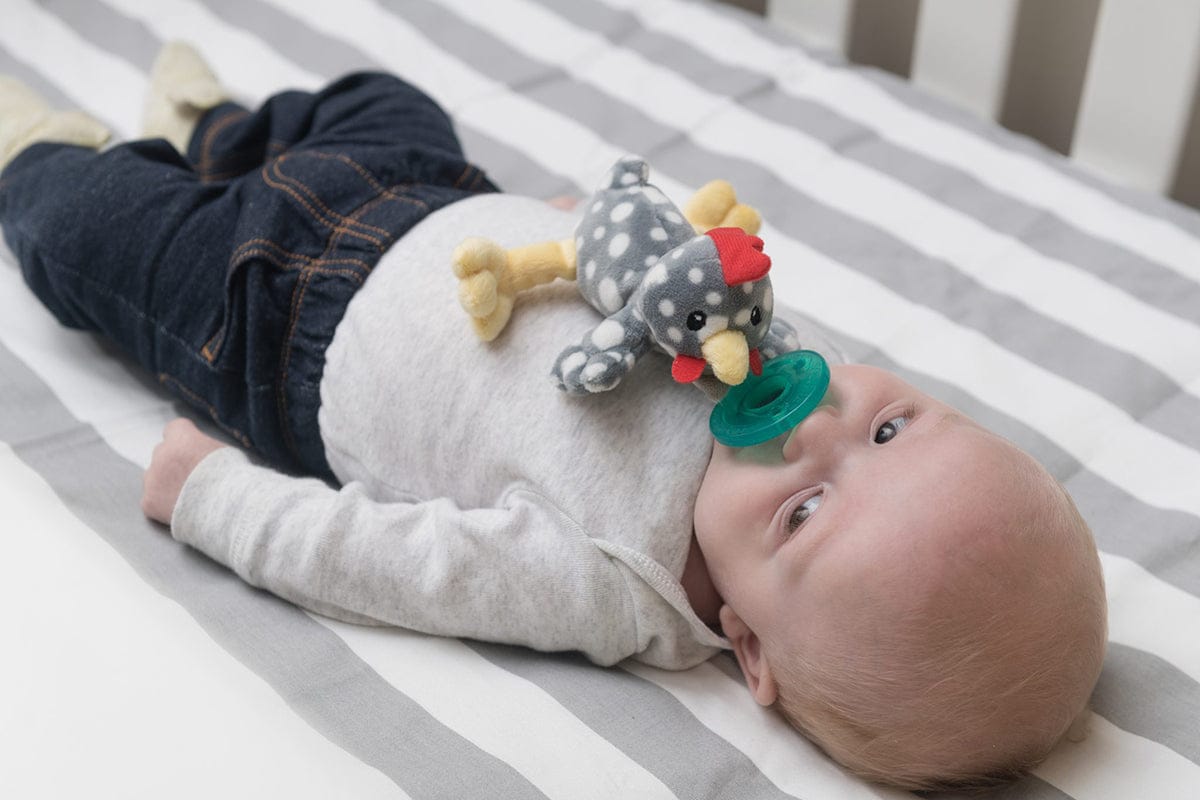 Mary Meyer Wubbanub Pacifier - Rocky Chicken - 43042