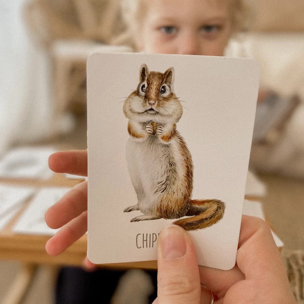Modern Monty Snap & Go Fish - Woodland (2 Card Games in 1) - SGF006