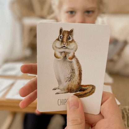 Modern Monty Snap & Go Fish - Woodland (2 Card Games in 1) - SGF006