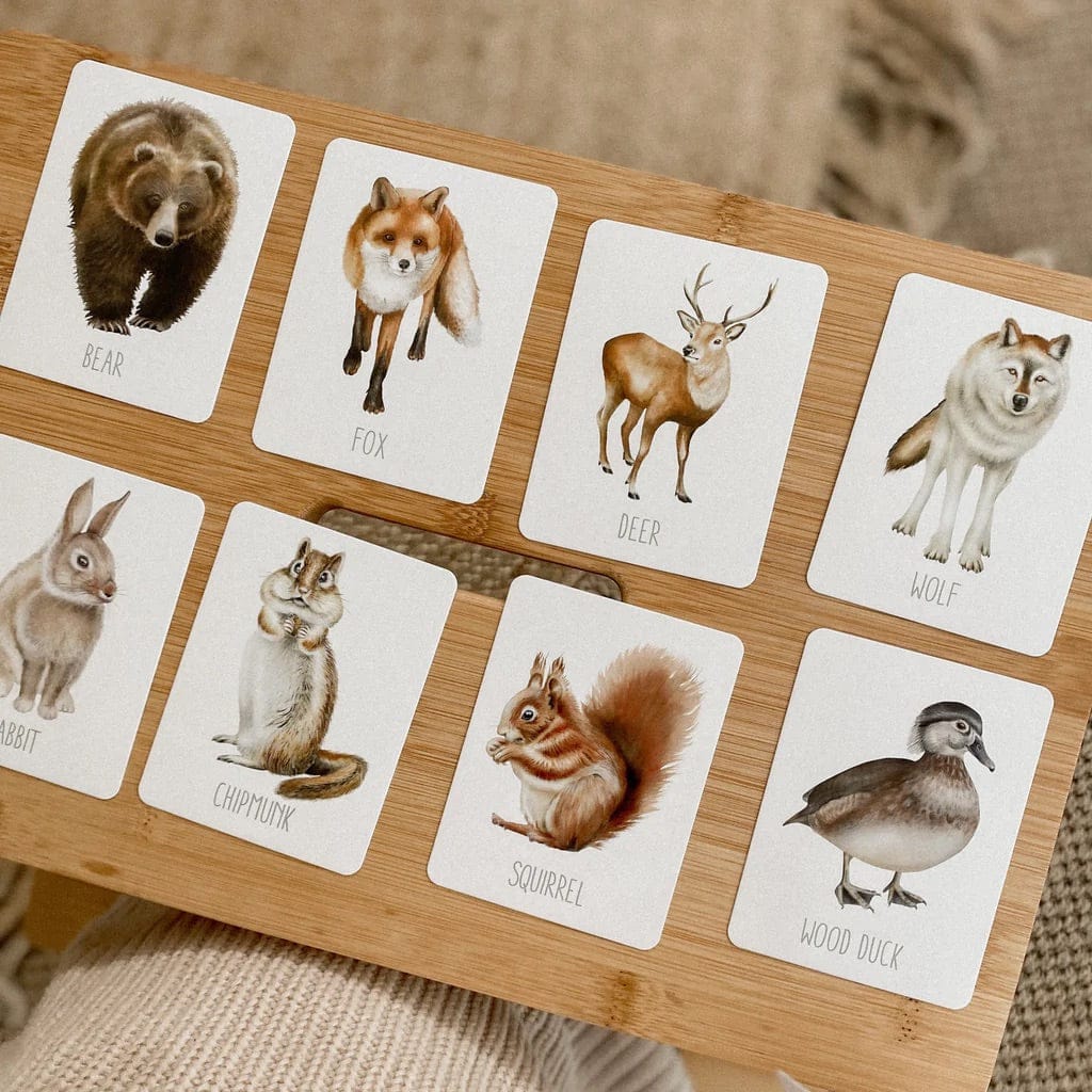Modern Monty Snap & Go Fish - Woodland (2 Card Games in 1) - SGF006