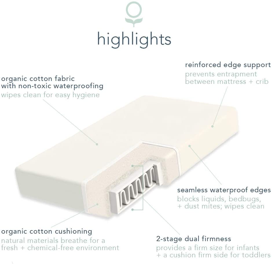 Naturepedic MC24 No-Compromise Lightweight Organic Classic Mattress - MC24