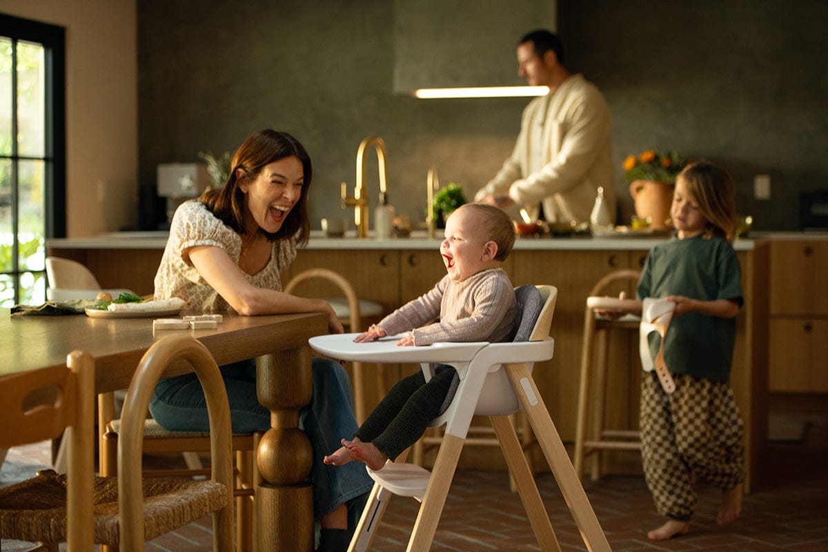 ALOHA-KINGヘザーブラウン Nuna BRYN High Chair - Sanderson – Albee Baby