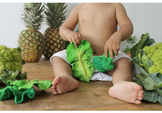 Oli & Carol Brucy the Broccoli - 8.43702E+12