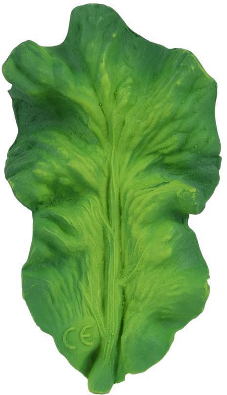 Oli & Carol Kendall the Kale