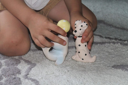 Oli & Carol Vintage Dalmatian - Spot the Dog - 8.43702E+12