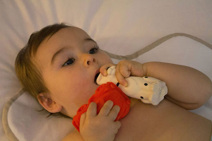 Oli & Carol Vintage Dalmatian - Spot the Dog - 8.43702E+12