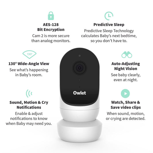 Owlet Cam 2 Smart HD Video Baby Monitor - Dusty Rose - BC04N20BBJ