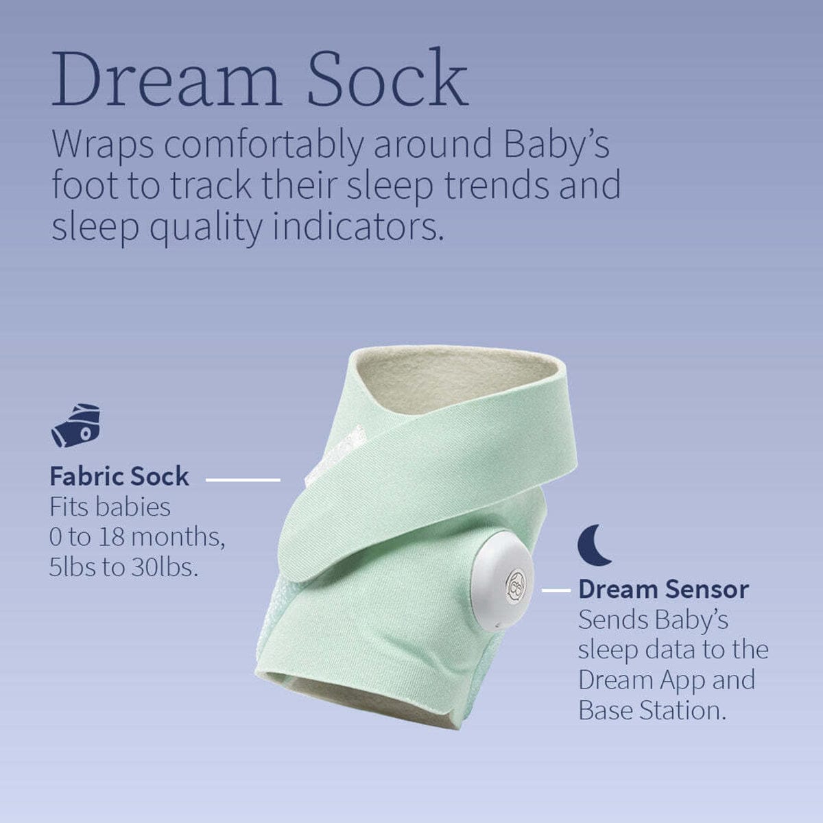 Owlet Dream Sock Smart Baby Monitor - Bedtime Blue - BM06N67MCJ