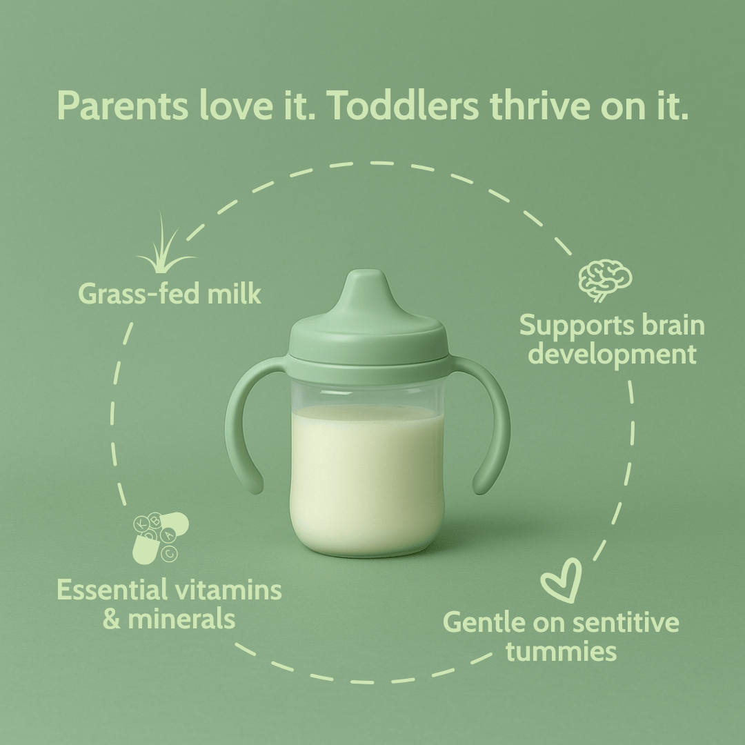Holle Goat Milk Toddler Drink | Stage 3 (14 oz) -