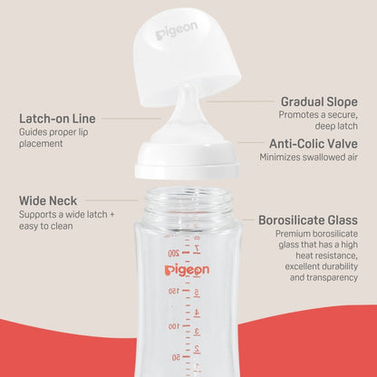 Pigeon Glass Wide Neck Baby Bottle, 8.1 oz - 2 Pack - Image 3
