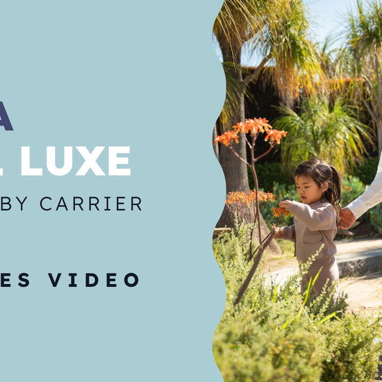 NUNA CUDL Luxe 4 in 1 Baby Carrier