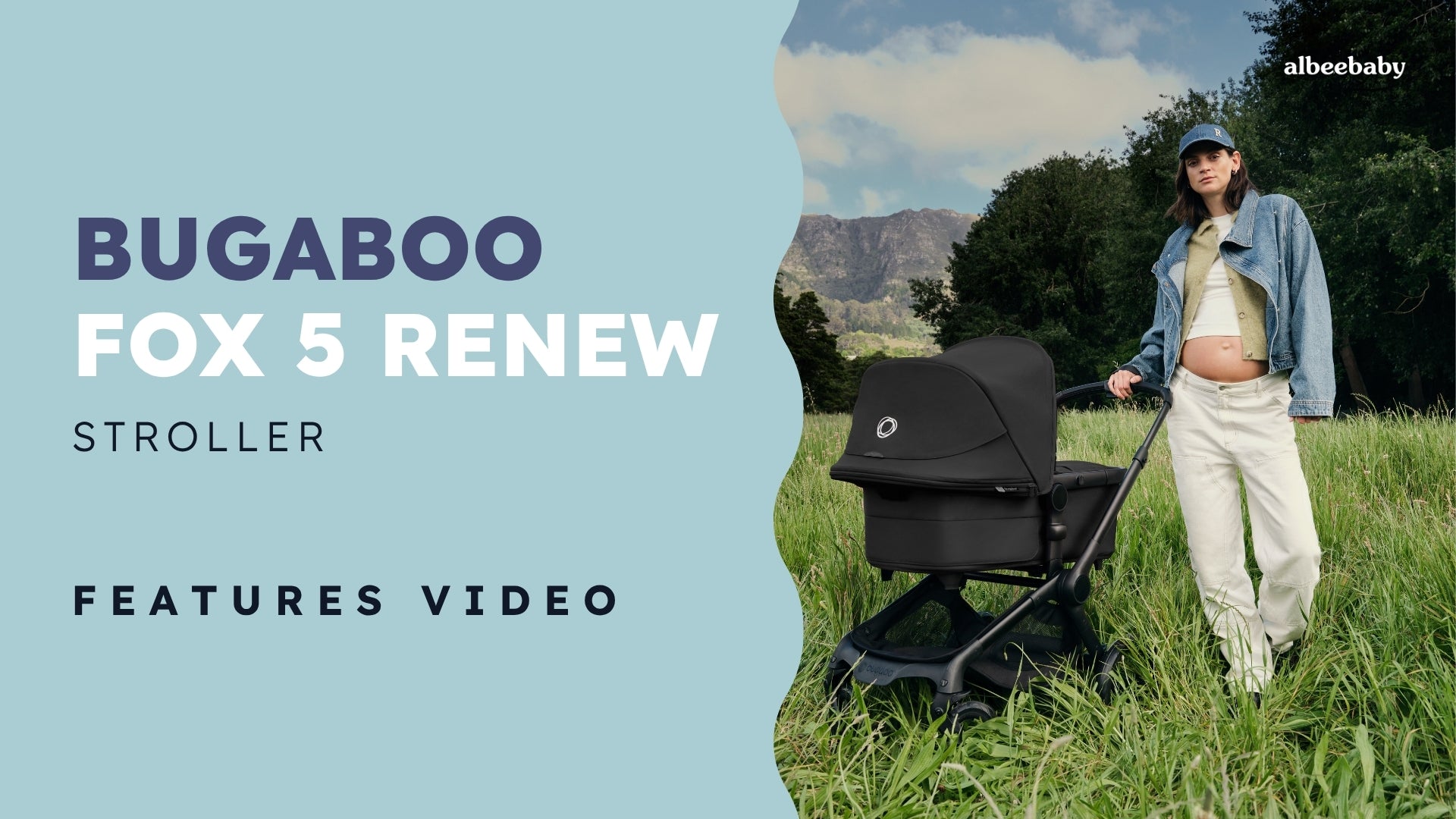 Bugaboo Fox 5 Renew Complete Stroller - Black / Cocoa Brown