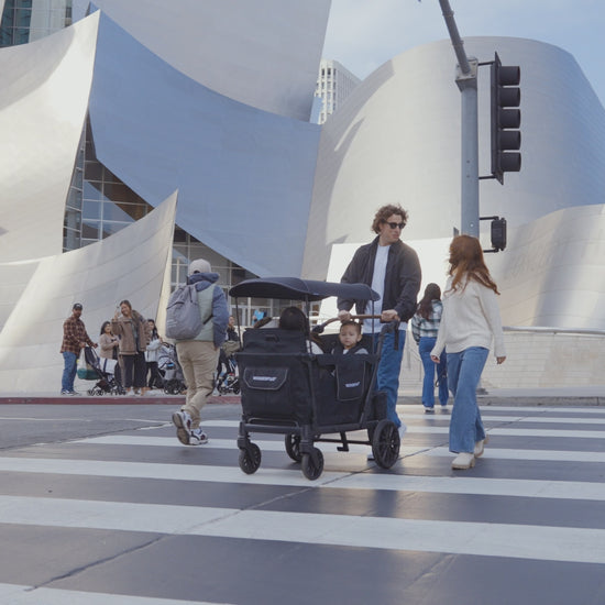 Wonderfold L Series Video 