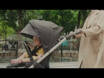 Inglesina Electa Stroller - Tribeca Green