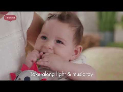 Tiny Love Meadow Day Sunny Day Gymini