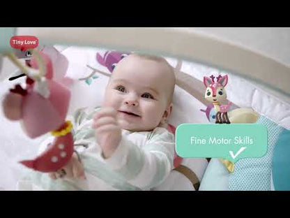Tiny Love Gymini Deluxe - Tiny Princess Tales
