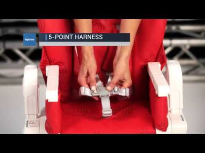 Inglesina Gusto High Chair - Turchese