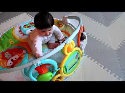 Skip Hop Explore & More Amazing Arch Activity Gym