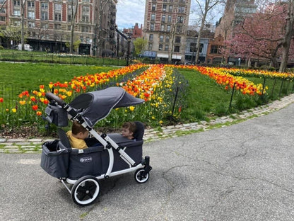 Pronto One (2 Seater) Stroller Wagon - White Frame / Sweet Sage - PRO1WSS