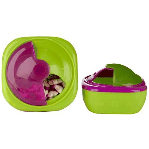 Sassy Perfect Sized Snack Pods in Pink with Green Accents - 30039