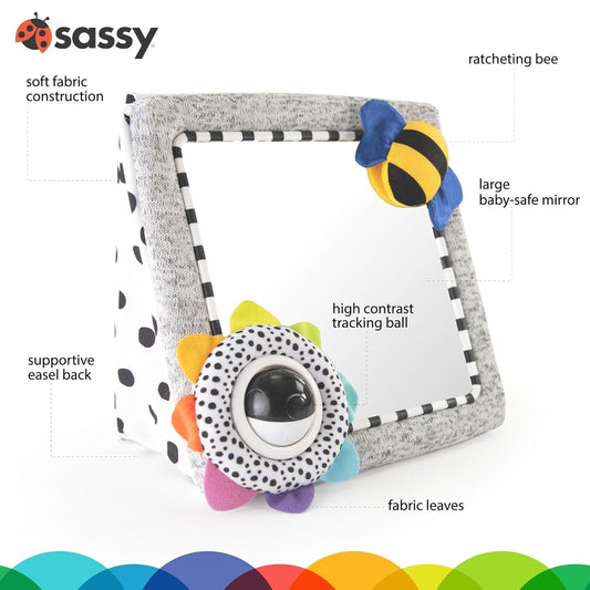 Sassy Tummy Time See Me Floor Mirror - Grey Bee - 80928R3FB
