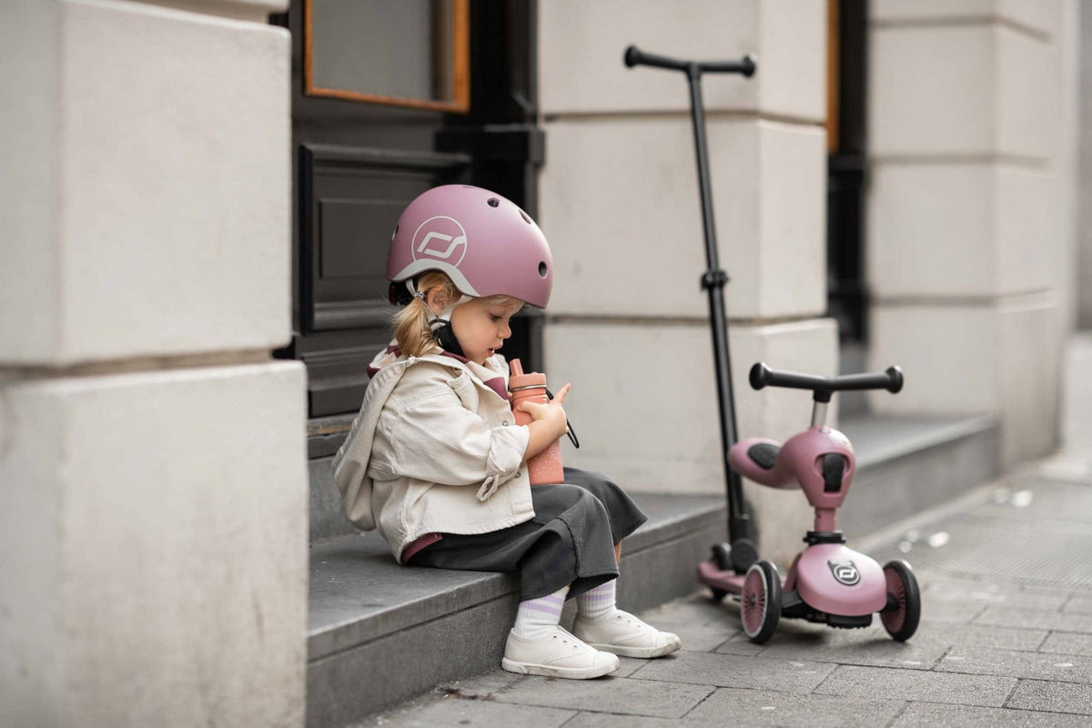 Scoot & Ride Highwaykick 1 Push & Go Scooter - Steel