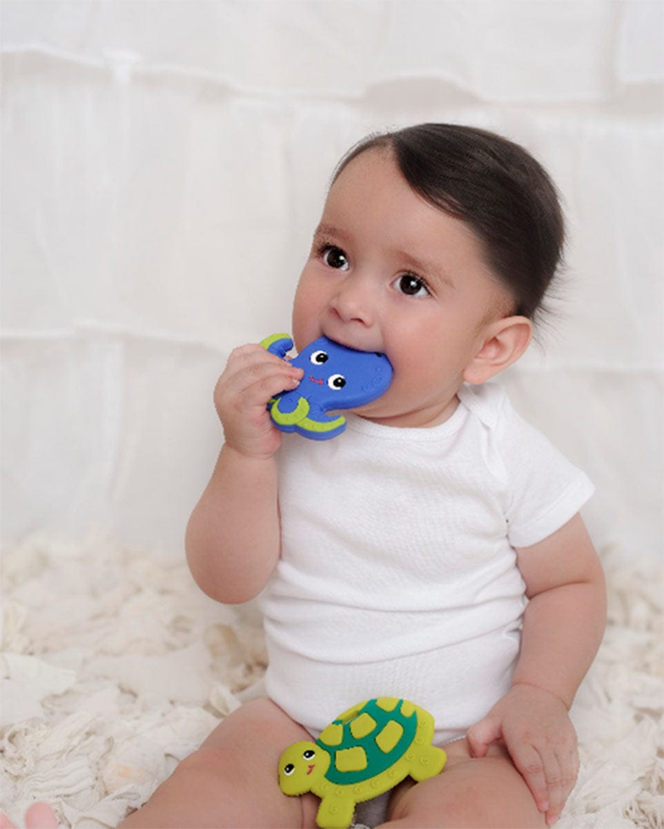 Silli Chews Teether - Olli Octopus - SC-3