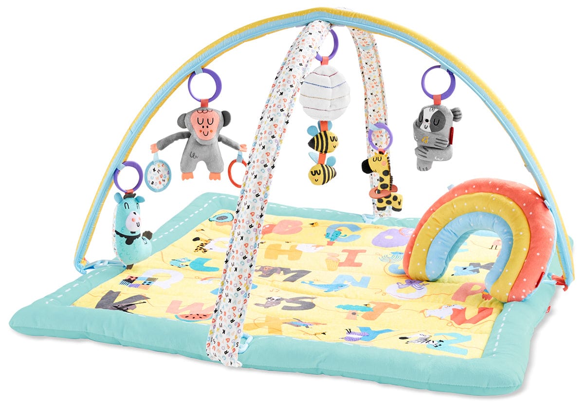 Skip Hop ABC & Me Activity Gym - 9I672910