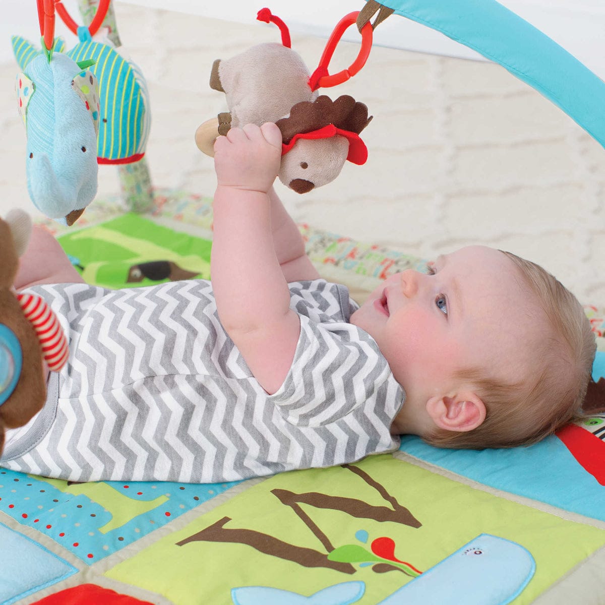 Skip Hop Alphabet Zoo Activity Gym - 307300