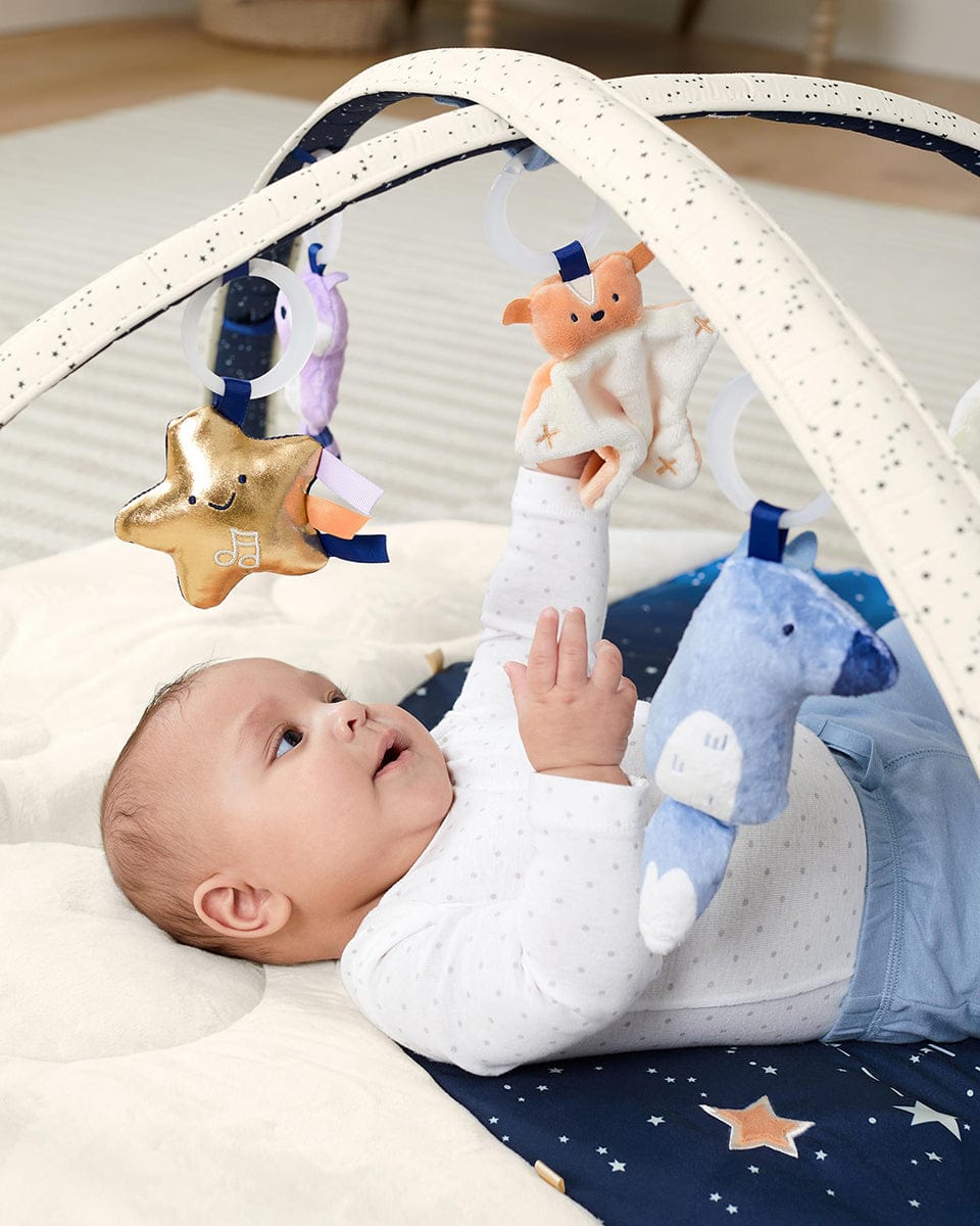 Skip Hop Celestial Dreams Activity Gym - 9J002110