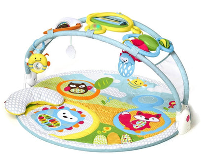 Skip Hop Explore & More Amazing Arch Activity Gym