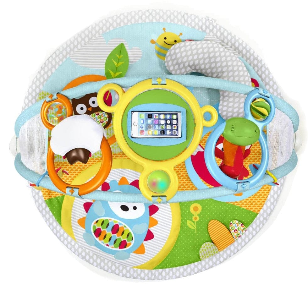 Skip Hop Explore & More Amazing Arch Activity Gym