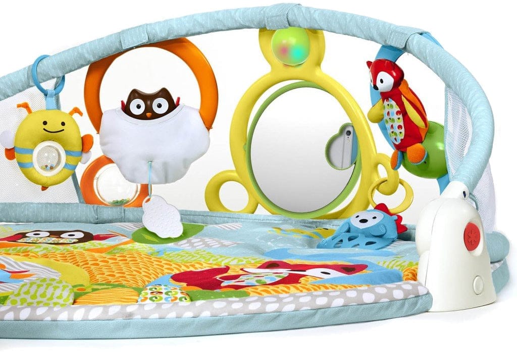 Skip Hop Explore & More Amazing Arch Activity Gym