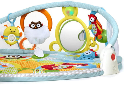 Skip Hop Explore & More Amazing Arch Activity Gym