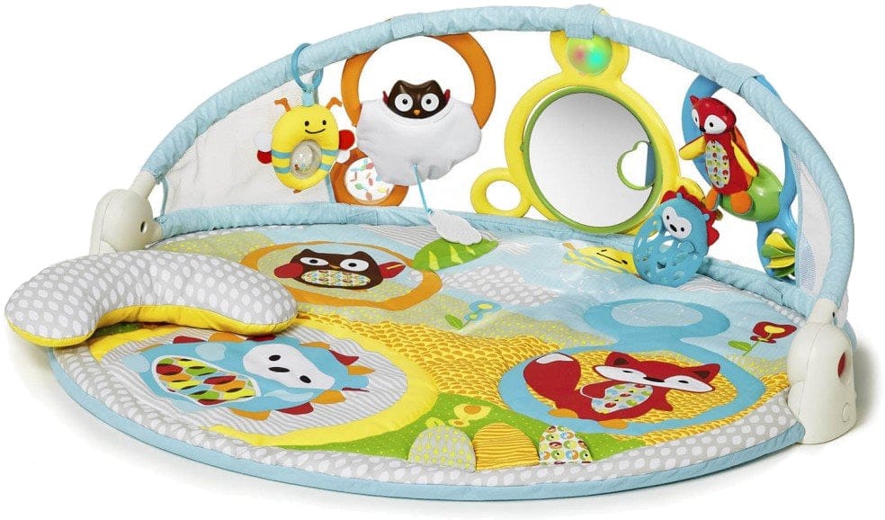 Skip Hop Explore & More Amazing Arch Activity Gym